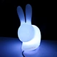 rabbit night light
